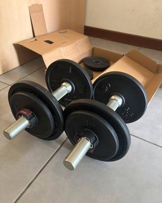 Manubri Palestra