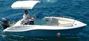 eolo-girasole-pronta-consegna-2024-