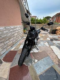 Ducati scrambler 800