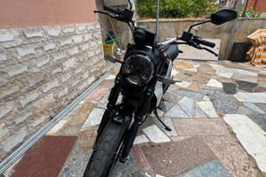 Ducati scrambler 800
