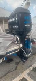 Fuoribordo 115 cv, optimax gambo lungo