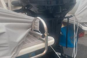 Fuoribordo 115 cv, optimax gambo lungo