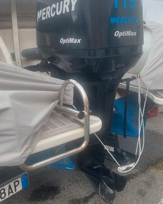 Fuoribordo 115 cv, optimax gambo lungo