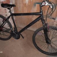 Bicicletta da uomo