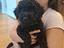 Immagine 5