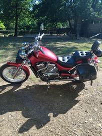 Suzuki intruder