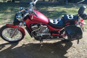 Suzuki intruder