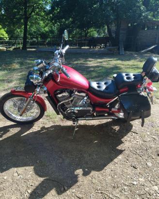 Suzuki intruder