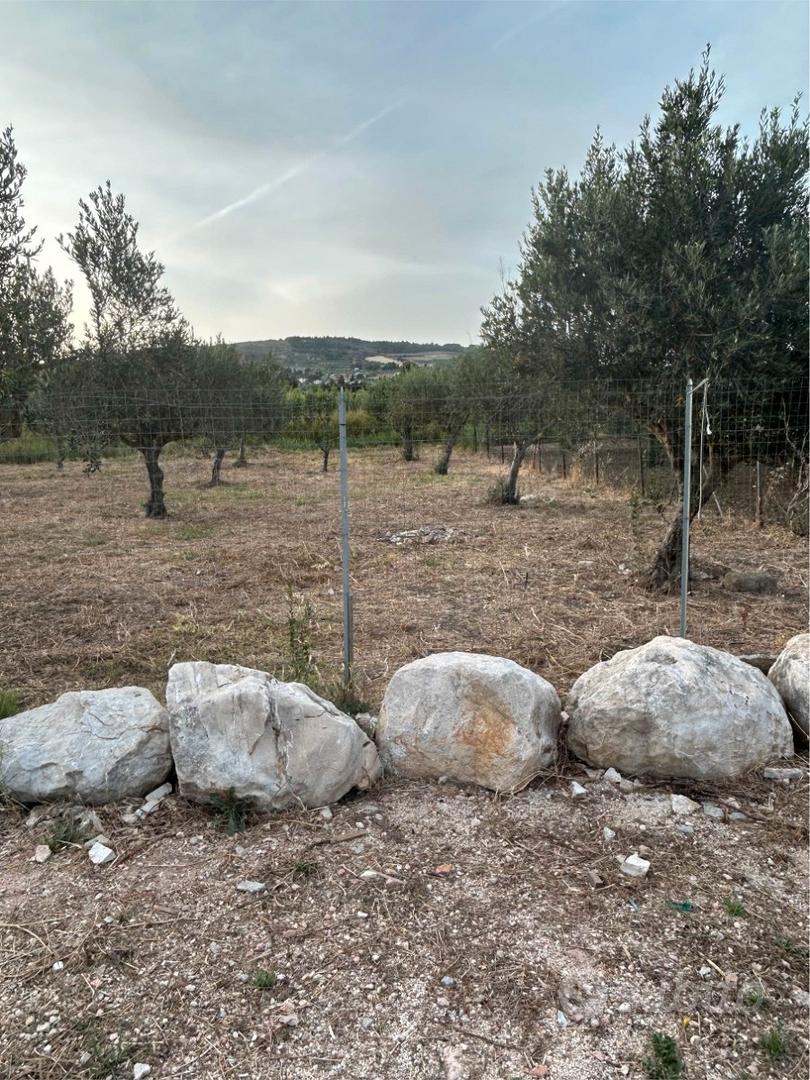 Terreno agricolo - zona crocci - Vista 3