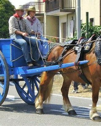 Carro agricolo anni '50