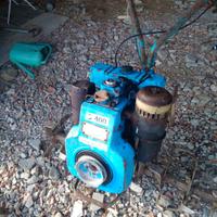 motozappa 10 CV diesel 