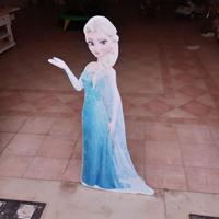 " Principessa Frozen "