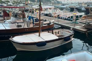 Gozzo Aprea Junior 4.60 con motore Vetus 40cv