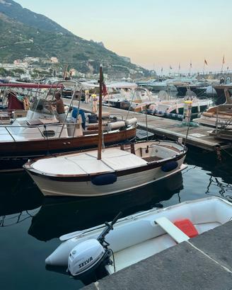 Gozzo Aprea Junior 4.60 con motore Vetus 40cv