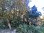 Immagine 7