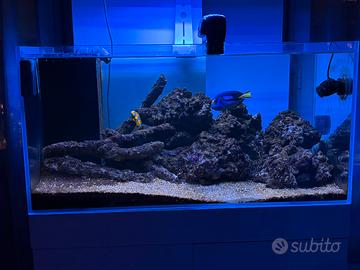 Acquario Marino Amtra 200 Litri