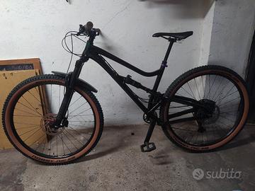 Dartmoor bluebird 29