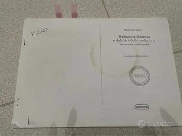 Traduzione Didattica D’Angelo
