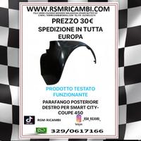 PARAFANGO POSTERIORE DESTRO SMART 450