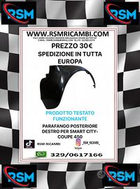 PARAFANGO POSTERIORE DESTRO SMART 450