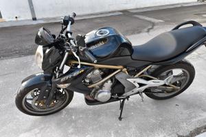 Kawasaki er6n
