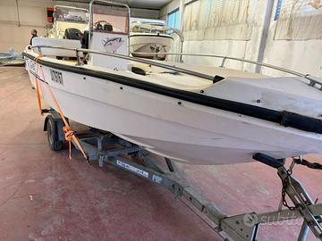 Barca 4,5 m con motore 40cv