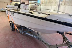 Barca 4,5 m con motore 40cv