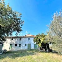 Terreno edificabile, agricolo e casa colonica