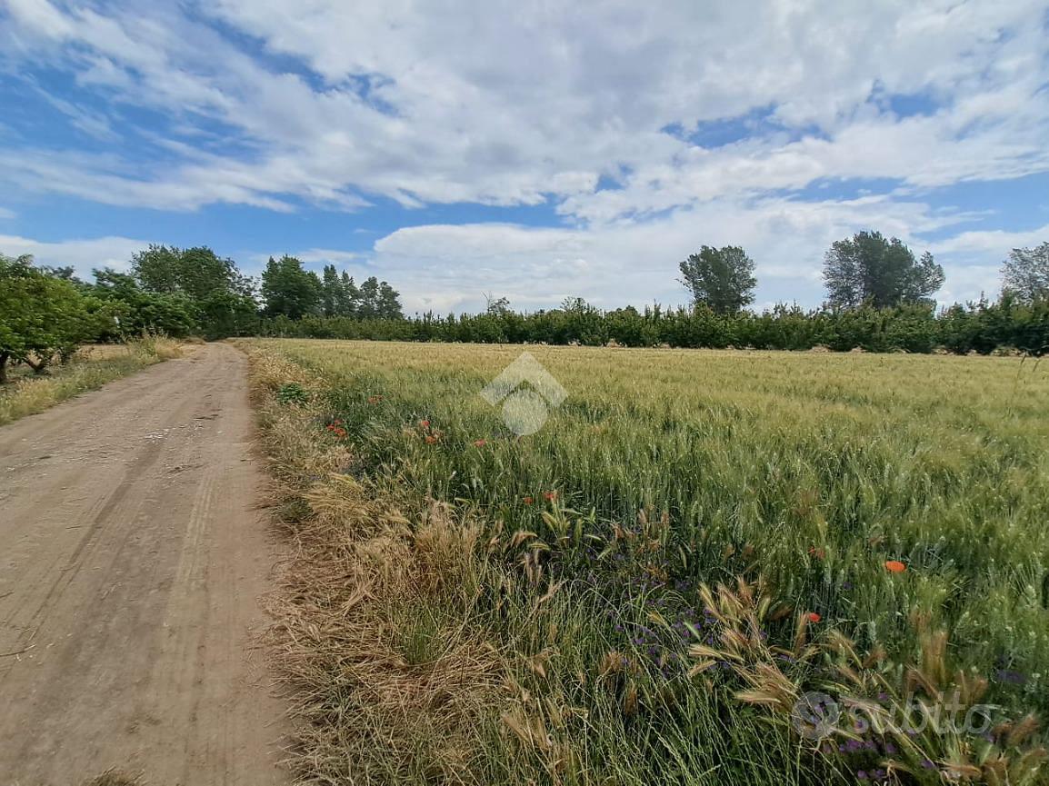 TER. AGRICOLO A VILLA LITERNO - Altro