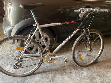 Bici unisex