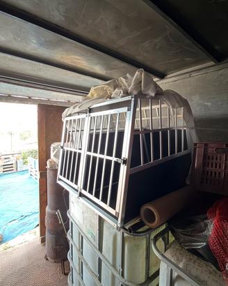 Box XXL