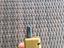 Immagine 6