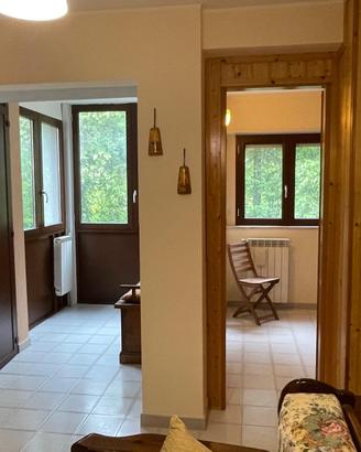 Vendita appartamento