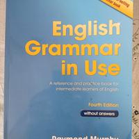English Grammar in use
