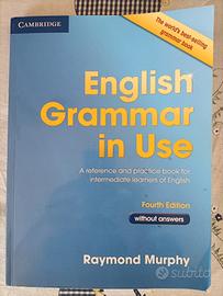 English Grammar in use