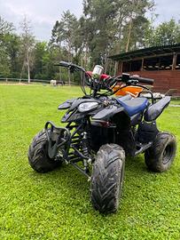 Mini quad elettrico 1000 W