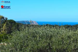 Villetta con splendida vista mare - Rena Majore