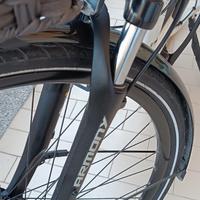 bicicletta elettrica 