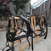 Finimento Per Cavallo Da Carrozza-CUCITO A MANO-