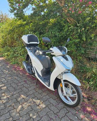 HONDA SH  150