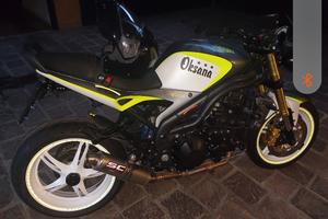 tryumph speed triple 2005 1050 