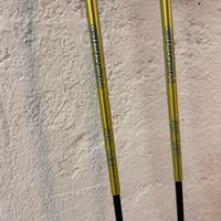 Bastoncini Sci Gipron Ski Leo 100
