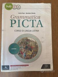 Grammatica Picta 1