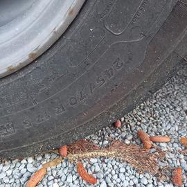 Gomme x semirimorchio ribassato 245 70 17.5