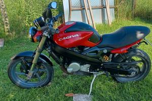 cagiva raptor 