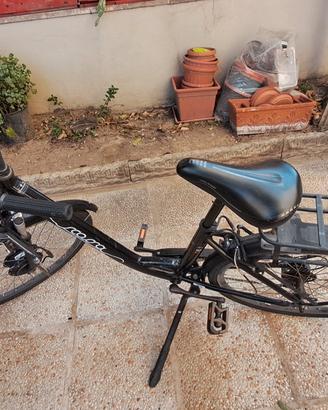 bici elettrica 
