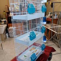 come da foto gabbia 3 posti 