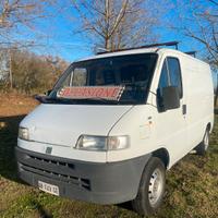 Fiat Ducato 14