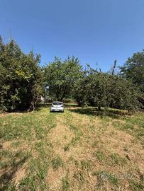Terreno di 2500 m² a Candelo