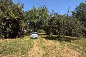 Terreno di 2500 m² a Candelo